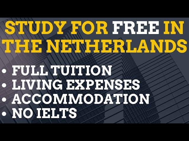 Study for FREE in Netherlands 2025, No IELTS, Full Tuition, Monthly Stipends, Accommodation