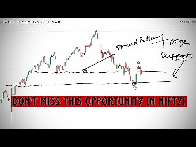 Don’t miss this opportunity in NIFTY | Weekly market analysis