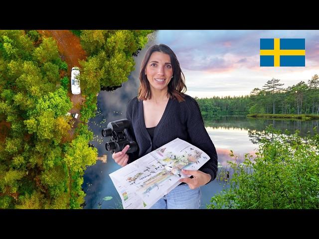 48 Hours of Van Life in Sweden (Calm, Real & Fun)