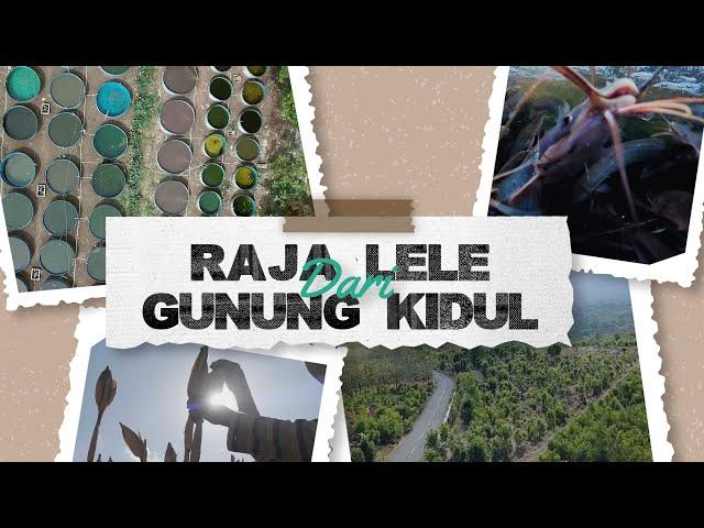 Raja Lele dari Gunung Kidul