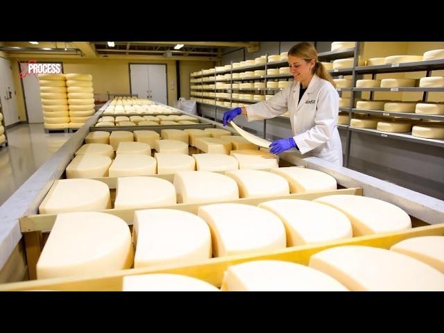 This is How Mozzarella Cheese is Made in Factories! Biggest Mozzarella Cheese Factory!