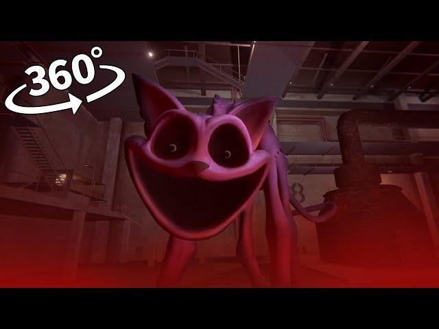 CATNAP MOVIE Collection 360° VR