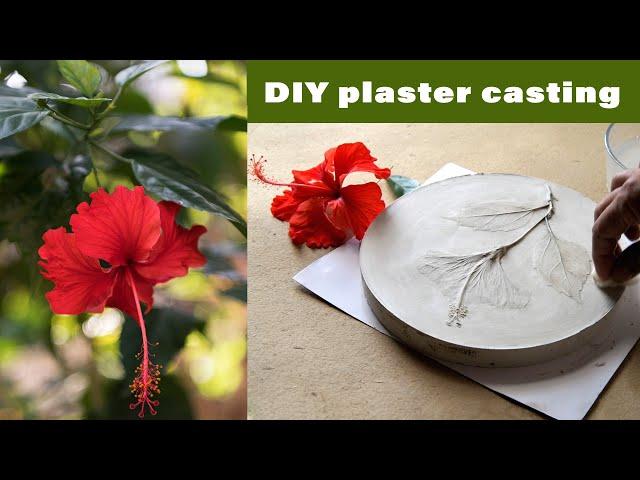 How To Make DIY  Botanical Plaster . Home Decor & Gift Ideas.Home Art Decor. Diy Plaster Casting Art