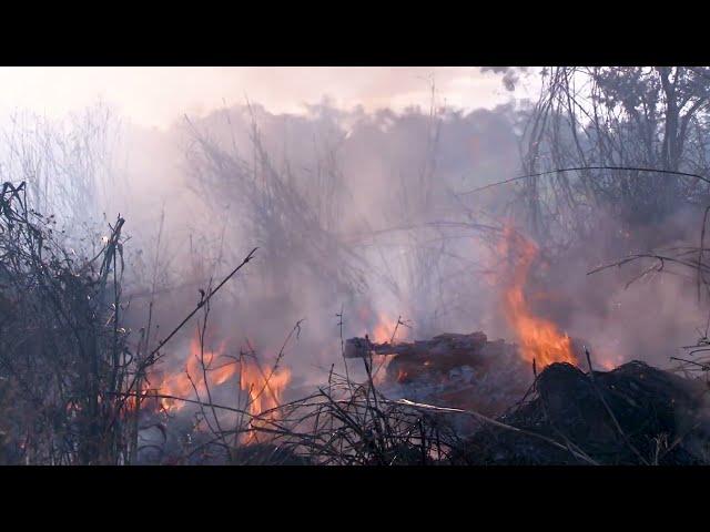 Queimadas no sul maranhense