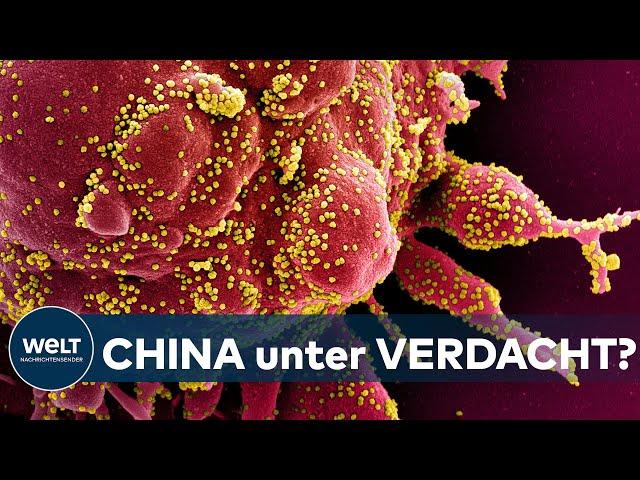 WUHAN-VIRUS: Corona-Ursprung - Warum die Pandemie doch aus dem Labor stammen könnte | WELT Analyse