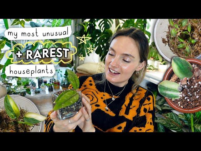 The Most UNUSUAL + Rare Plants In My Collection 