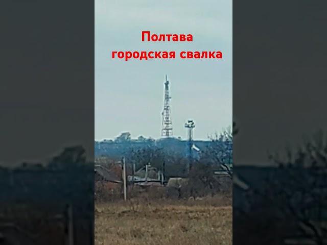 19 марта 2025 г.