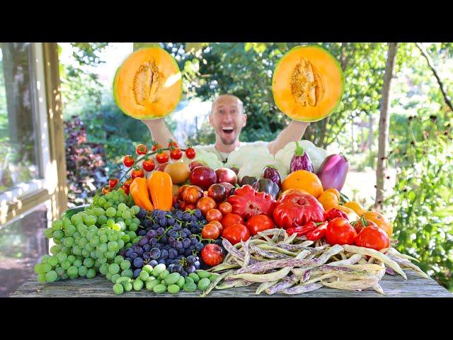 Unbelievable Late September Garden Harvest, Backyard Sustainable Gardening