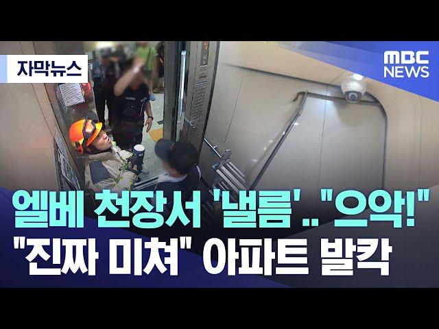 [자막뉴스] 엘베 천장서 '낼름'.."으악!" "진짜 미쳐" 아파트 발칵 (2024.06.17/MBC뉴스)