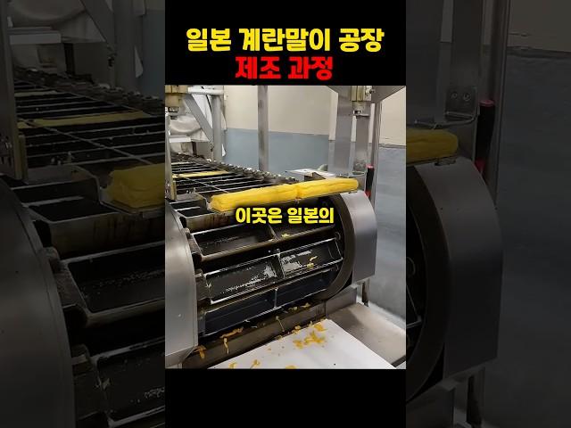 일본 계란말이 공장 제조 과정