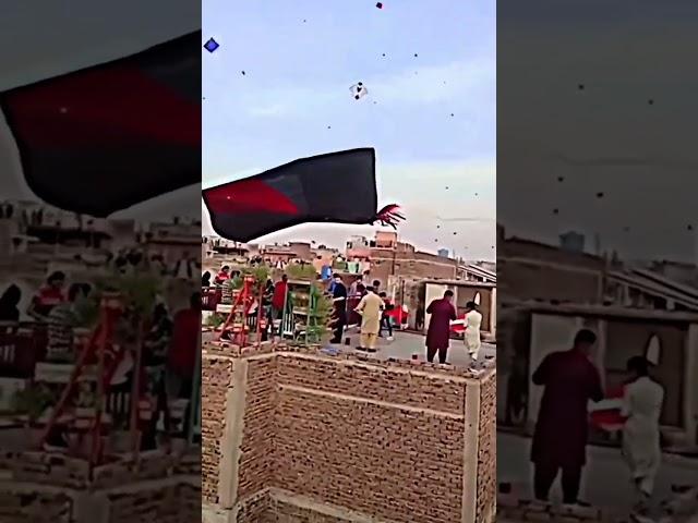 Wait for End  Karta Kaam Ohi Shorts Kite Lover #shorts #kitelover #gonewrong #youtubeshorts #patang