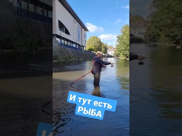 #fishing #youtubefishing #youtubeshorts