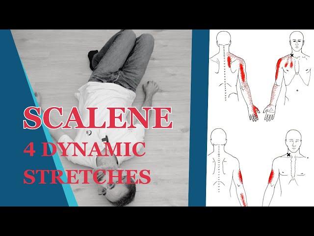 Scalene Muscles Stretch: How To Use Post Isometric Relaxation (PIR)