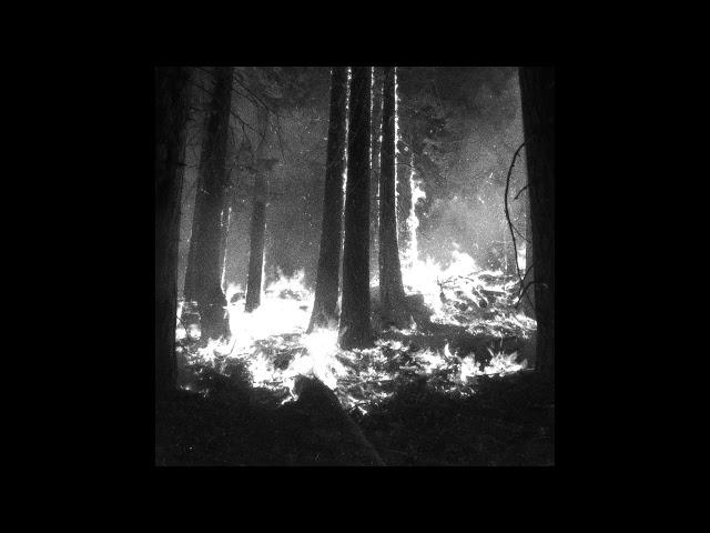 Den Sorte Død - Undergangen (2019) (Berlin School, Electronic, Dungeon Synth)