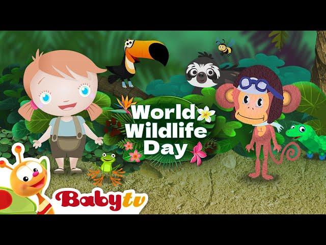 We love animals!  Celebrate World Wildlife Day with BabyTV        @BabyTV