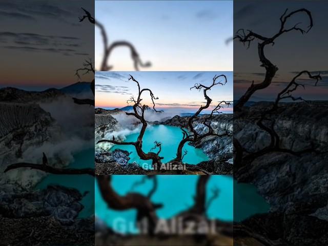 5 راز عجیب طبیعت که شما را شگفت‌زده می‌کند/پارت 4/#shorts #short #shortvideo #طبیعت #عجائب