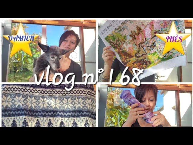 ️VLOG️TRICOT LECTURE🪡 POINT DE CROIX🪡 BLABLABLA