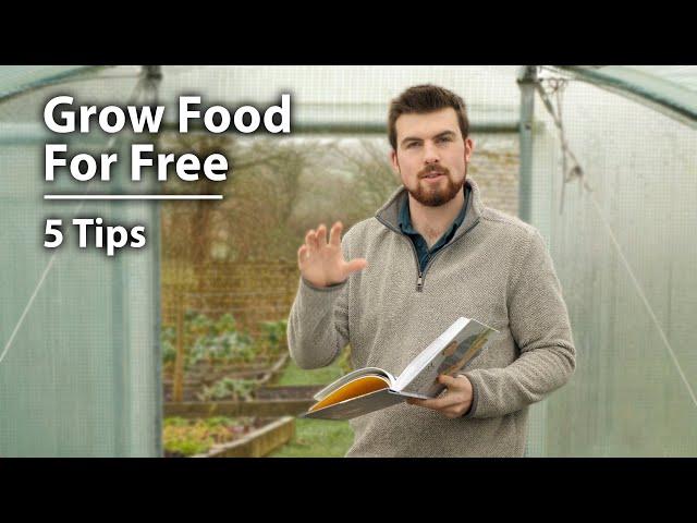 Grow Food For Free - Unboxing AND 5 Tips to Get Started