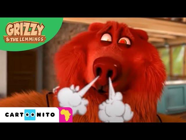 Grizzy and the Lemmings | Red HOT | Cartoonito Africa