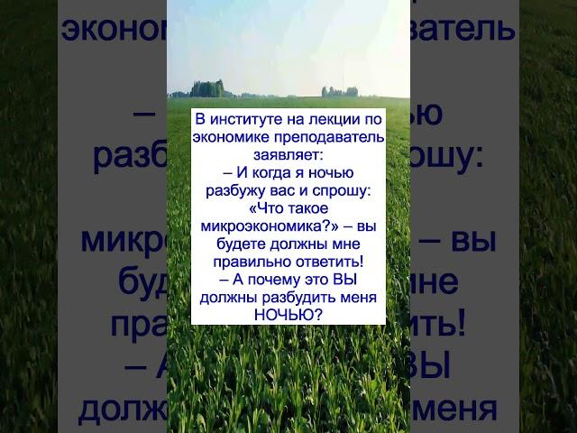Анекдот, который поймёт каждый