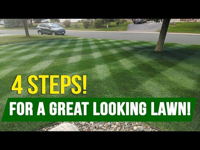 Turn Your AVERAGE LAWN into a GREAT LAWN With These 4 Steps!!