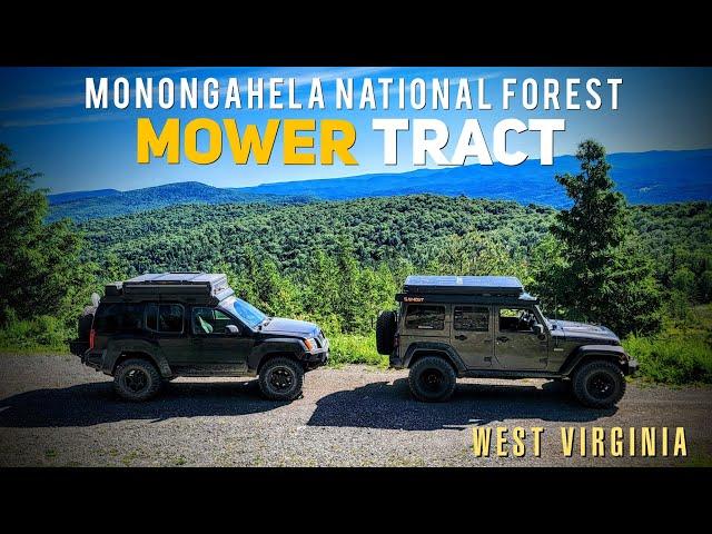 Breathtaking Views in West Virginia | Old Mine Rd & The Mower Tract | Monongahela National Forest