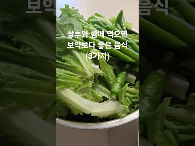 상추와 찰떡궁합 3가지 #건강밥상 #건강정보(건강)