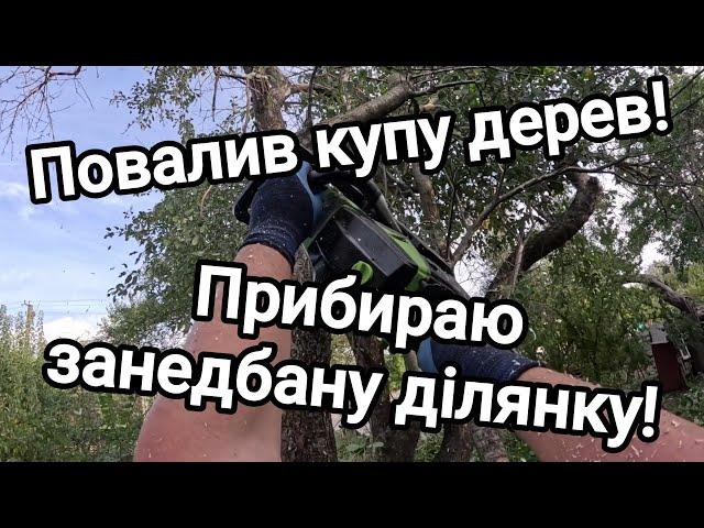 Купив хату в селі! Влаштував вирубку!) Повалив купу дерев! Прибираю занедбану ділянку! День другий!