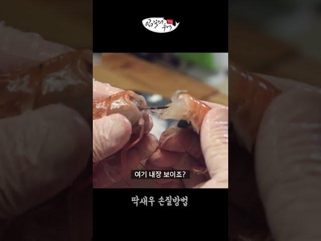 생새우회 먹을때 조심할 것(Feat.먹기 더럽다는 딱새우 손질법) #Shorts