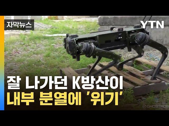 [자막뉴스] "軍 대응도 문제"…둘로 쪼개진 K-방산에 우려 / YTN