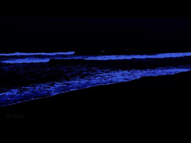 Relaxing ocean waves/ 24 Hours for deep sleep, ocean sounds on beach at night