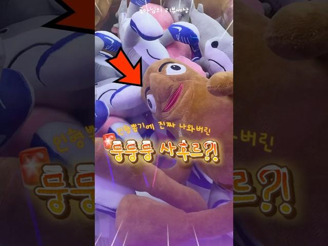 진짜 나와버린 퉁퉁퉁사후르 인형뽑기?! (feat.꿀팁있음)
