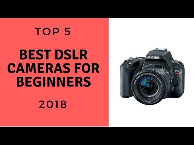 TOP 5: Best DSLR Cameras For Beginners 2018