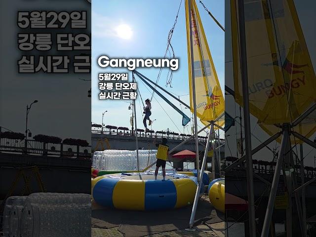 강릉 단오제 5월 29일 실시간 근황 #강릉 #강릉축제 #단오제