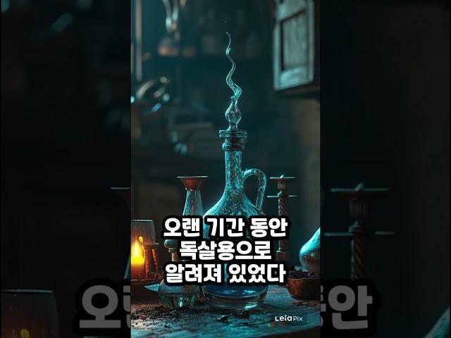 친환경 벽지가 중요한 이유 #인문학뽀개기 #나폴레옹 #역사