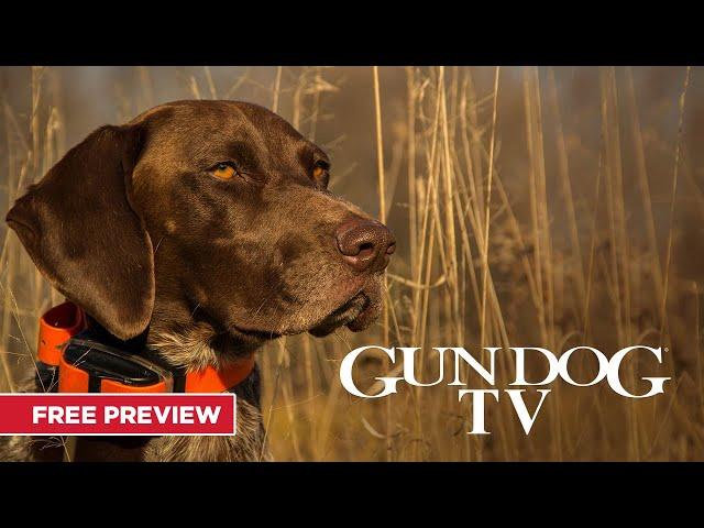 Gun Dog TV | Free Preview | MyOutdoorTV