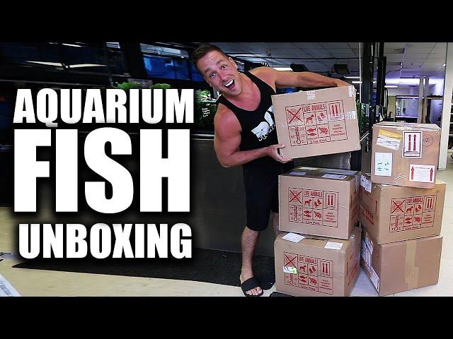 AQUARIUM FISH UNBOXING!