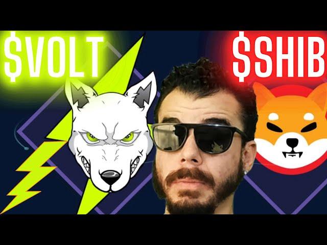 Volt Inu Token Price Prediction | Shiba Inu Price