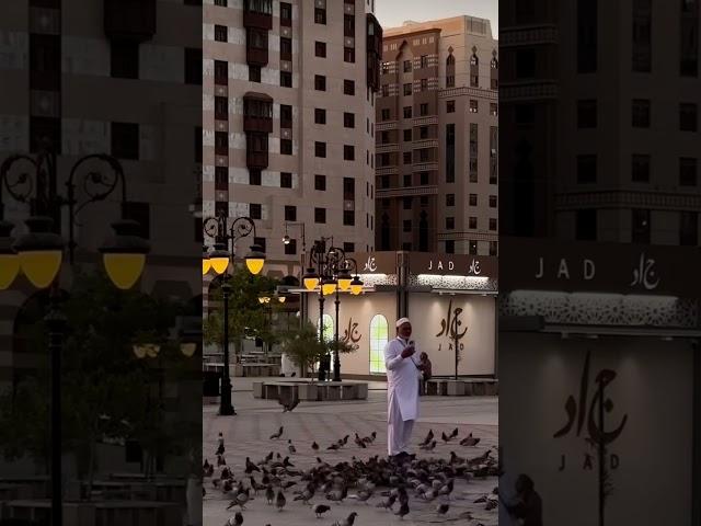 subhanAllah#short#shortvideo #shortfeed # cookscorner