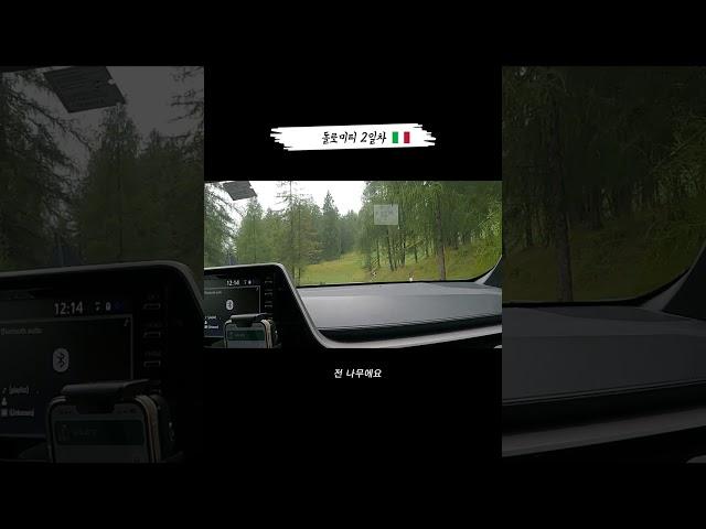 전나무야 너는 나무니? 난 ..