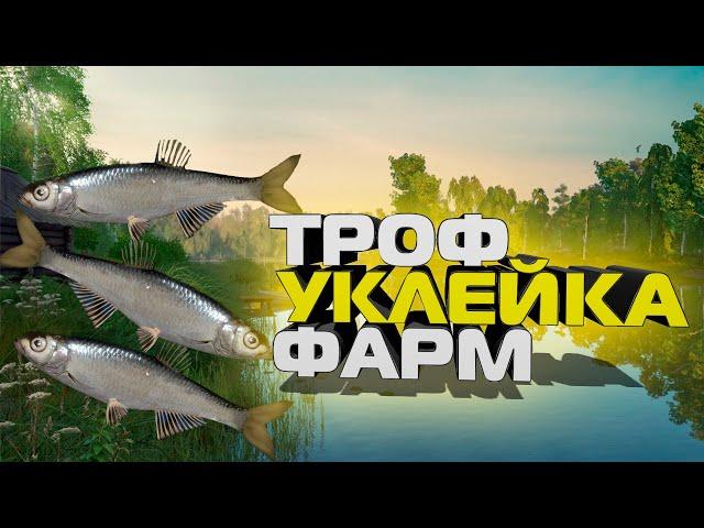 Фарм на трофейной уклейке, озеро Комариное, русская рыбалка 4,рр4, фарм для новичков, уклейка