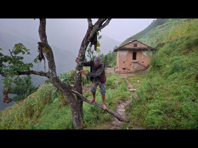 Most Relaxing Nepali Mountain Village Life | Rainy Day in Village | Daily Activities of Village Life