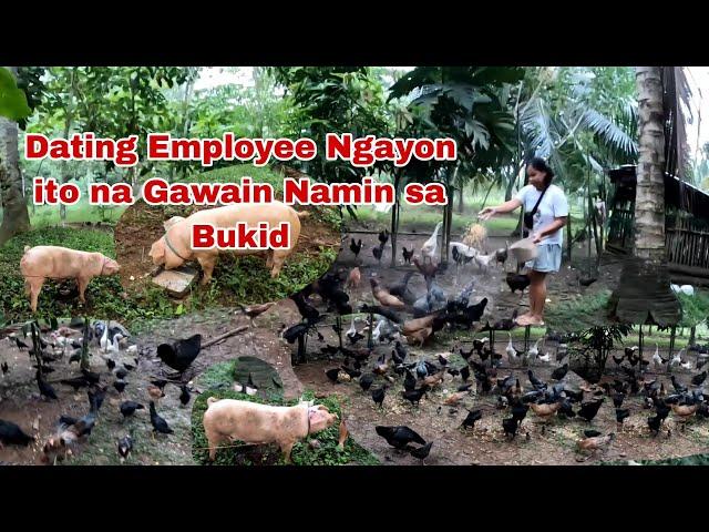 Dating Employee Ngayon Ito Ang Araw Araw kong Gawain sa Bukid