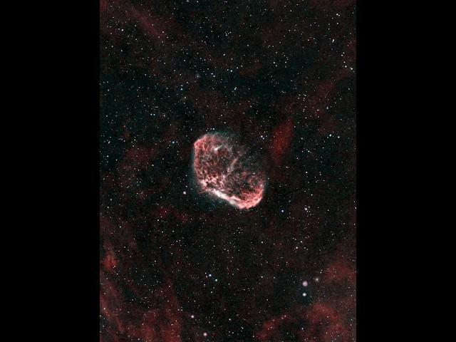 Shooting the Crescent Nebula from my backyard #telescope #sky #astrophotography #deepsky #supernova