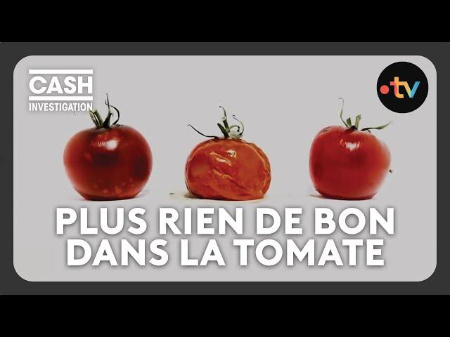 Les industriels ont-ils tué la tomate ? - Cash investigation