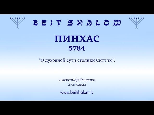 ПИНХАС 5784. "О духовной сути стоянки Ситтим". (Александр Огиенко 27.07.2024)