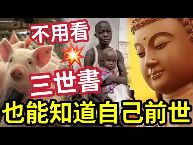 #佛禪 不用看三世書！自己的前世「是什麽投胎的」看完此文就能知道了！為何你有這樣的果報？