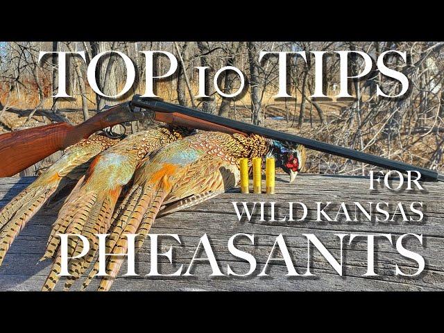 Top Ten Tips for Wild Pheasant Success