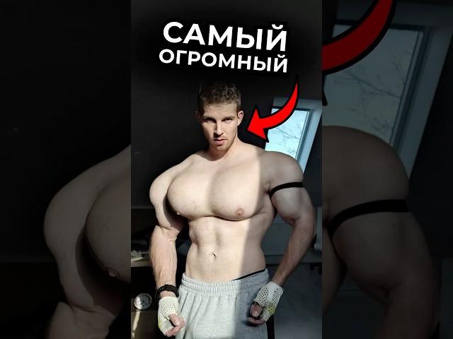 Что с Их Телом? Ч.7 #варгунин #фитнес #спорт #силовые #химик #качки #смаев #халк