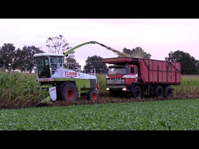 Maïs 2024 | Old Skool hakselen | Ginaf Max A15 | Claas Jaguar 690| Fendt |  Steyr |Maize harvest